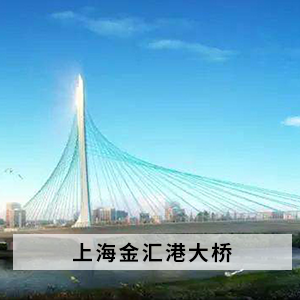 Shanghai Jinhui Port Bridge